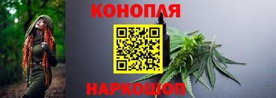 индика Моздок