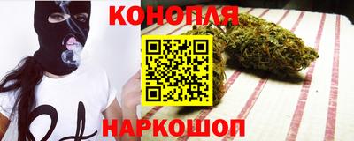 индика Моздок